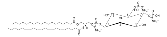 脳PI(4,5)P2 Avanti Research&#8482; - A Croda Brand