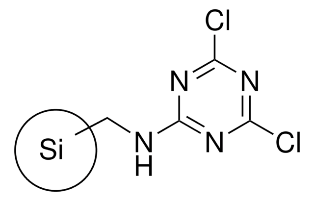 4,6-Dichloro-1,3,5-triazine on silica gel 200-400&#160;mesh, extent of labeling: 0.5-1.0&#160;mmol/g loading