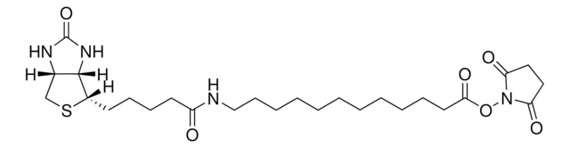 12:0 N-Biotinyl fatty acid, NHS 12N-biotinyl dodecanoic acid, NHS ester, Avanti Research&#8482; - A Croda Brand, powder