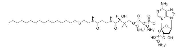 16:0 Ether Coenzyme A Avanti Research&#8482; - A Croda Brand 870740P, powder