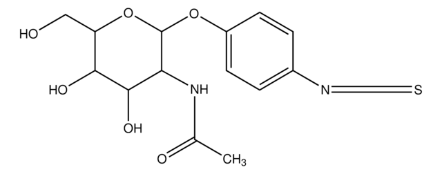 N-Acetyl-&#946;-D-glucosamine phenylisothiocyanate