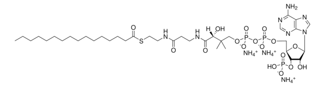 16:0 コエンザイムA Avanti Research&#8482; - A Croda Brand 870716P, powder