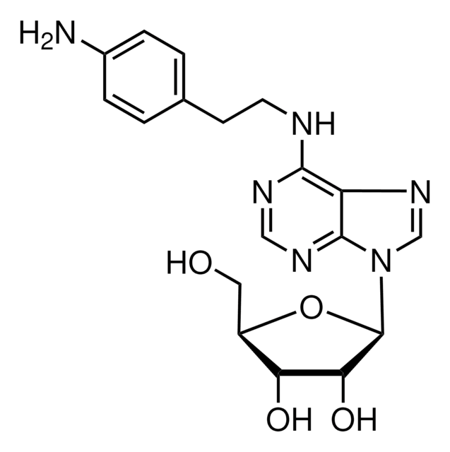 N6-2-(4-Aminophenyl)ethyladenosine &gt;95%