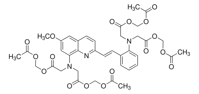 Quene 1-AM