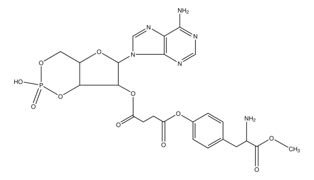 2&#8242;-O-Monosuccinyladenosine 3&#8242;:5&#8242;-cyclic monophosphate tyrosyl methyl ester ~95%