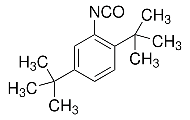 2,5-Di-tert-butylphenyl isocyanate 97%