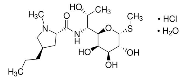 Lincomycin hydrochloride United States Pharmacopeia (USP) Reference Standard