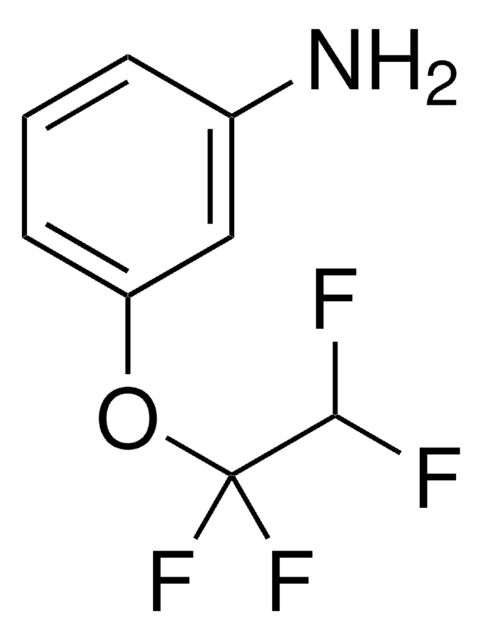 3-(1,1,2,2-Tetrafluoroethoxy)aniline 97%