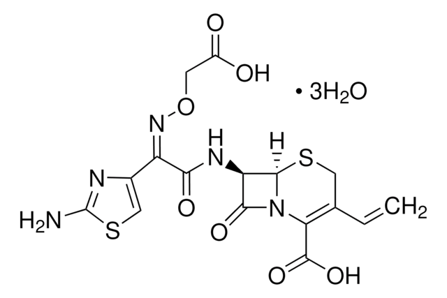 Cefixime United States Pharmacopeia (USP) Reference Standard