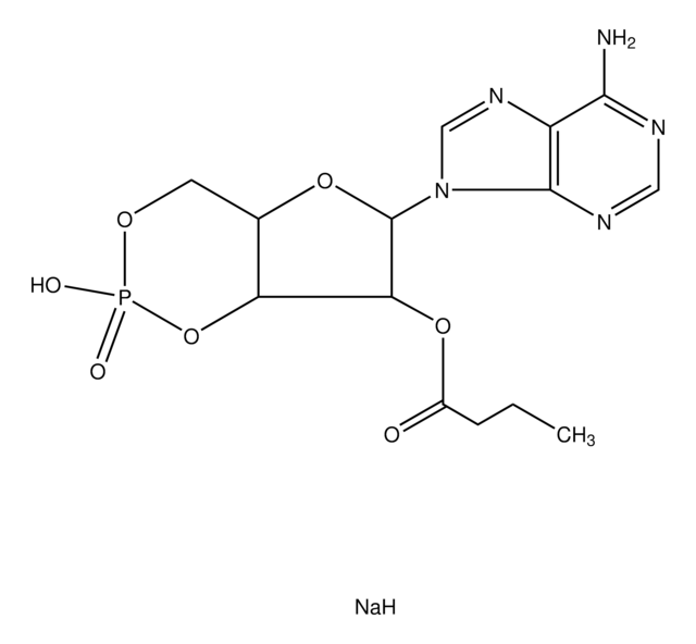 2&#8242;-O-Monobutyryladenosine 3&#8242;:5&#8242;-cyclic monophosphate sodium salt