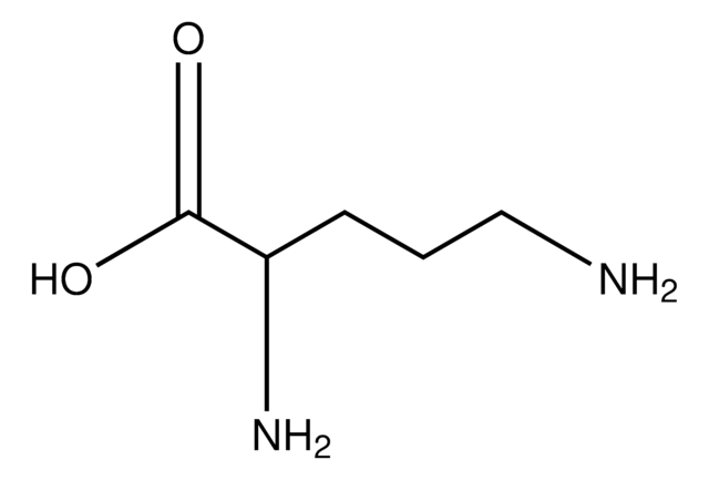 L-Ornithine-[2,3-3H] aqueous ethanol solution