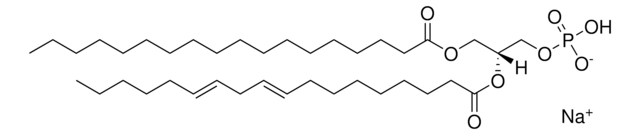 18:0-18:2 PA 1-stearoyl-2-linoleoyl-sn-glycero-3-phosphate (sodium salt), powder