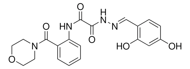 2-[(2E)-2-(2,4-DIHYDROXYBENZYLIDENE)HYDRAZINO]-N-[2-(4-MORPHOLINYLCARBONYL)PHENYL]-2-OXOACETAMIDE AldrichCPR