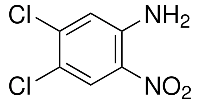 4,5-Dichloro-2-nitroaniline 96%