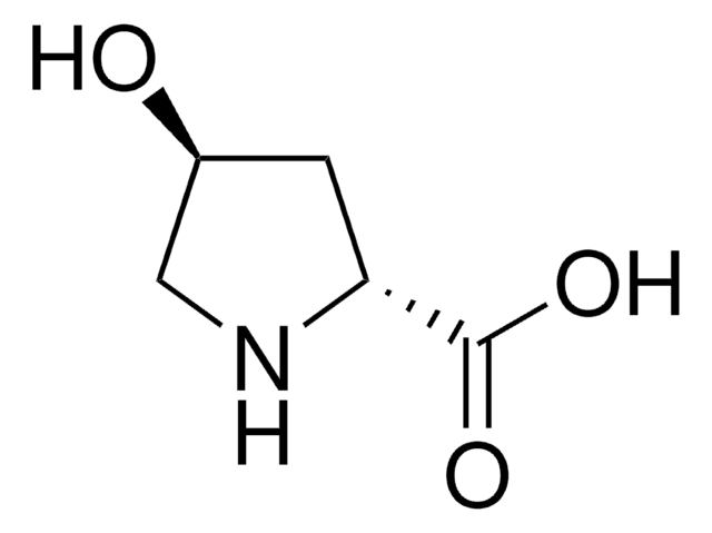 trans-4-Hydroxy-D-proline 97%