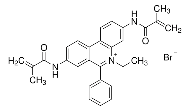 Ethidium bromide-N,N&#8242;-bismethacrylamide