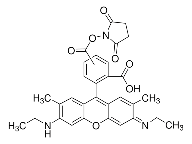 5-Carboxyrhodamine 6G, succinimidyl ester