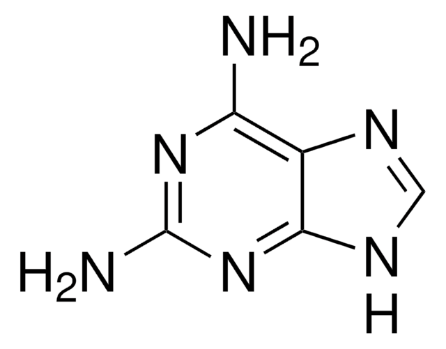 2,6-Diaminopurine 98%