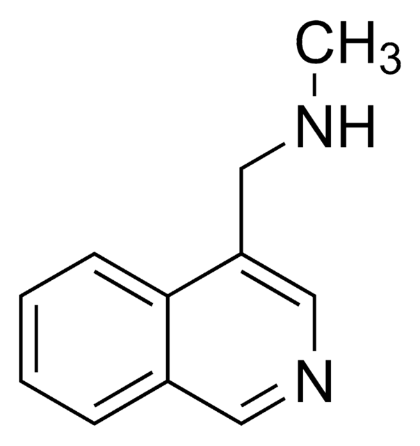 N-Methyl-(isoquinolin-4-ylmethyl)amine AldrichCPR