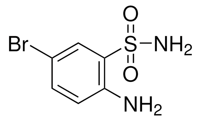 2-Amino-5-bromobenzenesulfonamide 97%