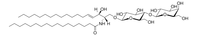 C17 Lactosyl(&#946;) Ceramide (d18:1/17:0) Avanti Research&#8482; - A Croda Brand 860595P, powder