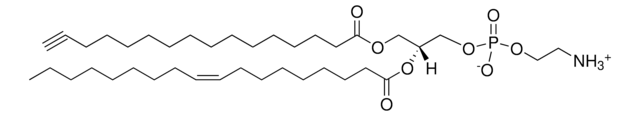 16:0(Alkyne)-18:1 PE Avanti Research&#8482; - A Croda Brand, powder