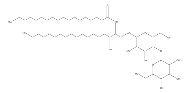 N-Stearoyl-DL-dihydrolactocerebroside