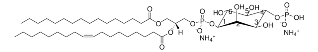 16:0-18:1 PI(4)P Avanti Research&#8482; - A Croda Brand 850157P, powder