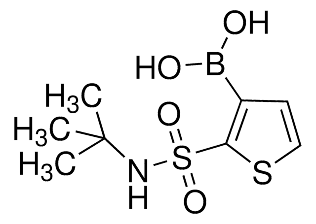 2-(tert-Butylsulfamoyl)thiophene-3-boronic acid