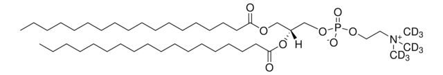 18:0 PC-d9 Avanti Research&#8482; - A Croda Brand 860362P, powder