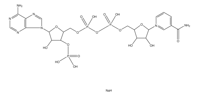 &#945;-Nicotinamide adenine dinucleotide phosphate sodium salt &#8805;90%