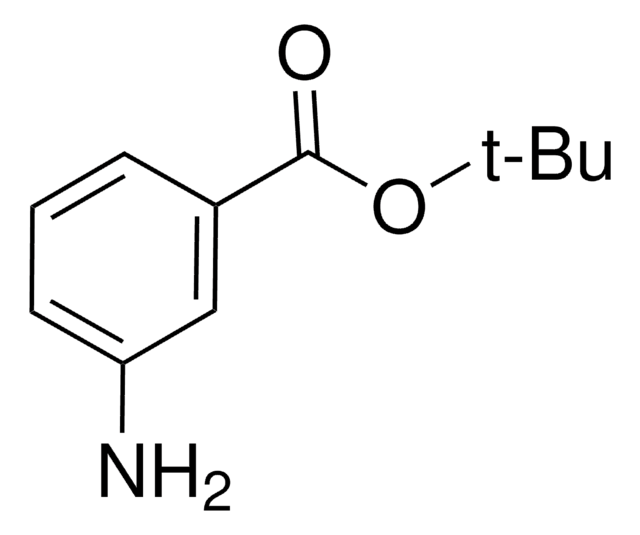 tert-Butyl 3-aminobenzoate &#8805;97.0% (NT)