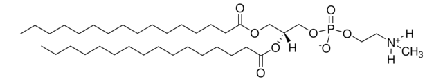 16:0 Monomethyl PE 1,2-dipalmitoyl-sn-glycero-3-phosphoethanolamine-N-methyl, chloroform