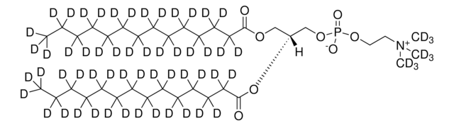 14:0 PC-d63 Avanti Research&#8482; - A Croda Brand, powder