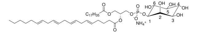 18:0-20:4 PI Avanti Research&#8482; - A Croda Brand