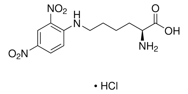 N&#949;-DNP-L-lysine hydrochloride