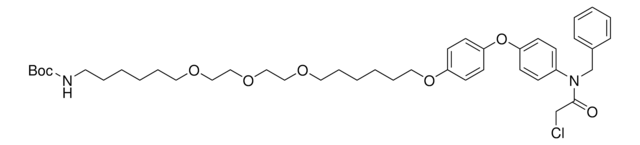 CCW16-C6-PEG3-butyl-BocNH