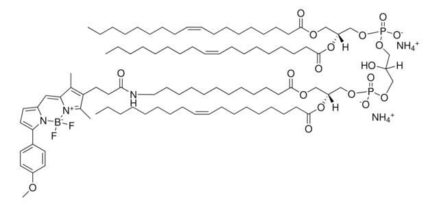 TopFluor&#8482; TMR Cardiolipin Avanti Research&#8482; - A Croda Brand