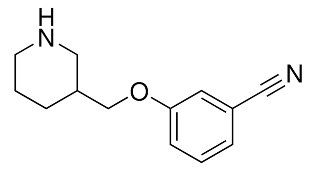 3-(3-Piperidinylmethoxy)benzonitrile AldrichCPR