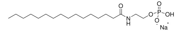 C16:0 anandamide phosphate Avanti Research&#8482; - A Croda Brand 870436P, powder