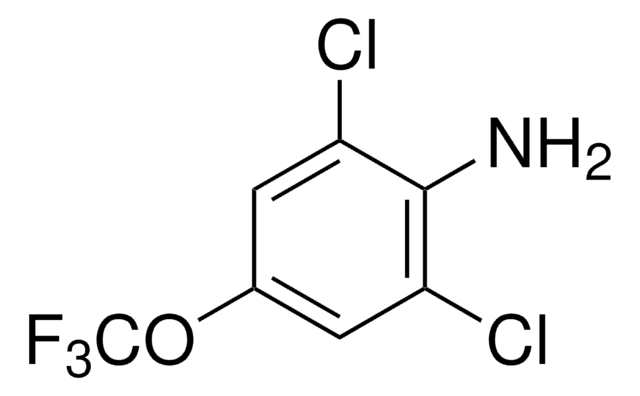 2,6-Dichloro-4-(trifluoromethoxy)aniline 96%