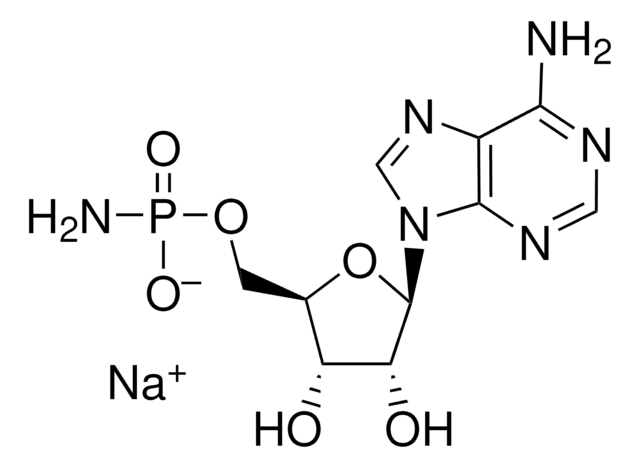 Adenosine 5&#8242;-monophosphoramidate sodium salt ~95%