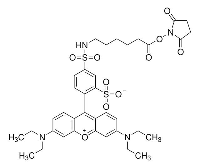 Dy-560 NHS ester for fluorescence