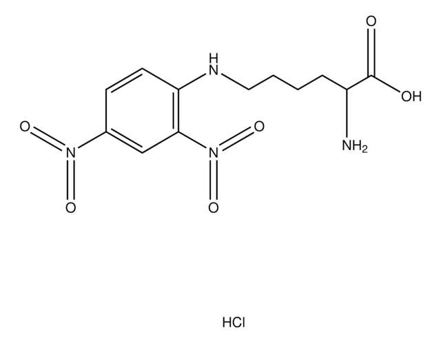 N&#949;-DNP-D-lysine hydrochloride