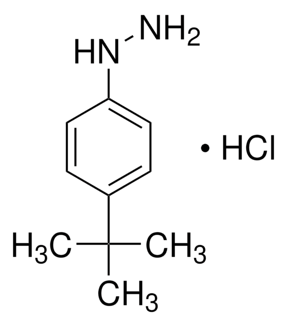 4-tert-Butylphenylhydrazine monohydrochloride