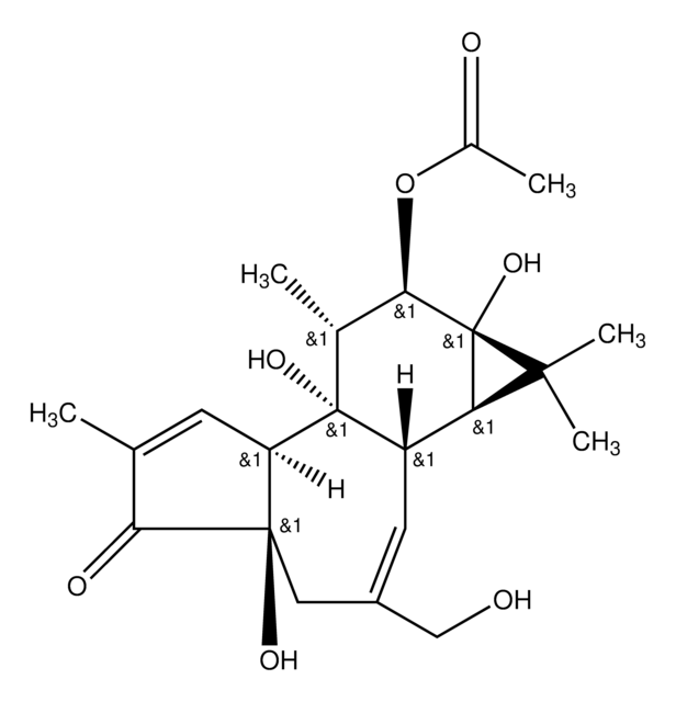 Phorbol 12-acetate