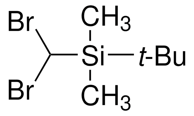 tert-Butyl(dibromomethyl)dimethylsilane 97%