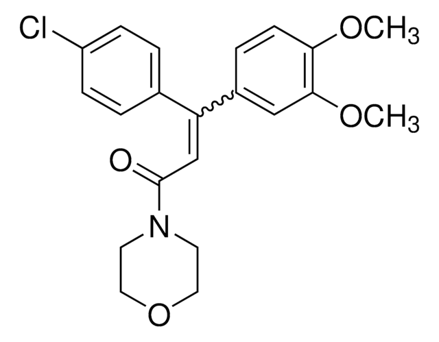 Biocytin hydrazide &#8805;90%