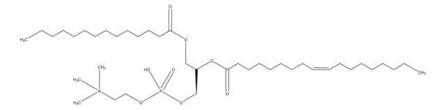 1-Myristoyl-2-oleoyl-sn-glycero-3-phosphocholine ~97% (positional purity of fatty acids), ~99% (TLC), lyophilized powder