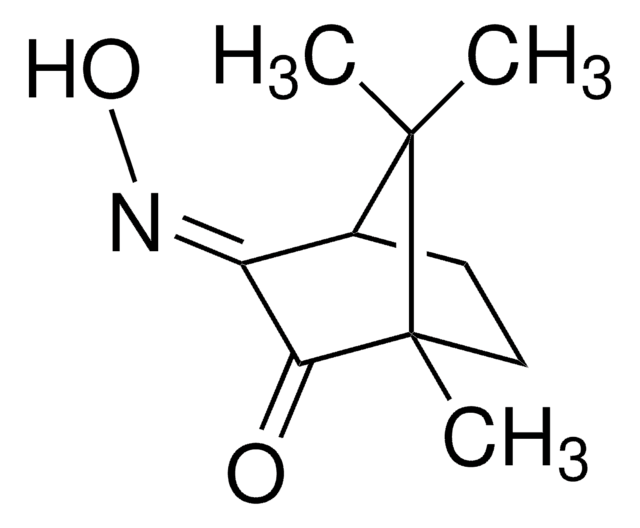 (1R,E)-(+)-Camphorquinone 3-oxime 99%